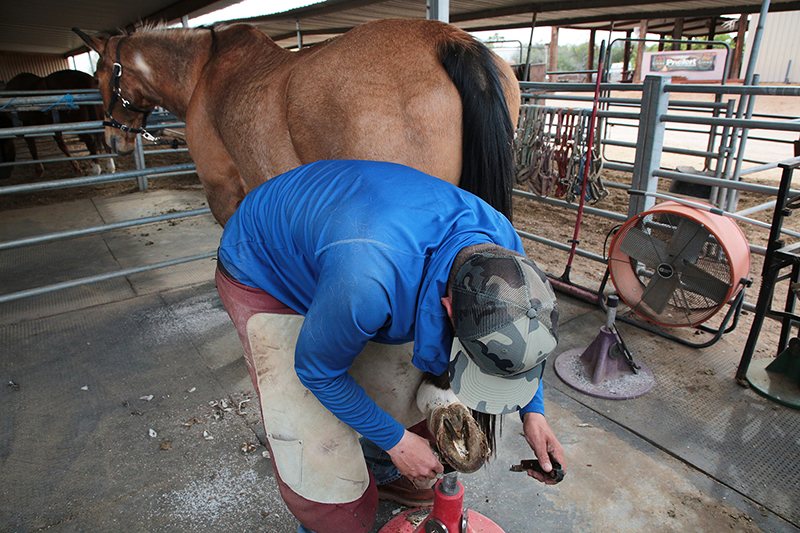 Arizona Cowboy College : Arizona : Richard Moore : Photographer